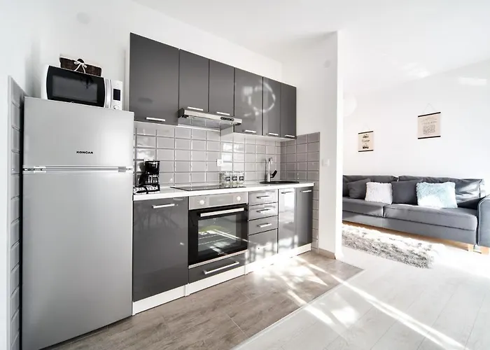 Deluxe Apartments Franic
